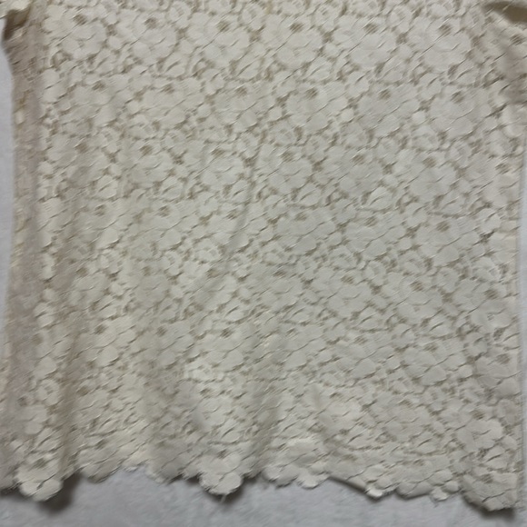 Talbots Women’s Cream Floral Lace Sheer Short Sleeve Blouse Size 4 - Picture 3 of 6